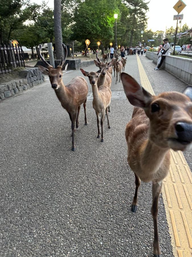 奈良公園徒歩15分古民家リノベーション貸切一軒家 Guest House奈良紀寺 Exterior foto